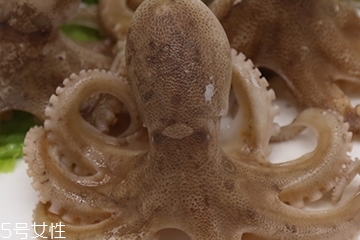 章魚(yú)是軟體動(dòng)物嗎？章魚(yú)屬于軟體動(dòng)物嗎？