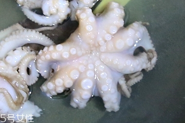 章魚會(huì)噴墨汁嗎？章魚的墨汁能吃嗎？
