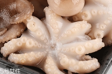 章魚可以炸嗎？章魚能油炸嗎？