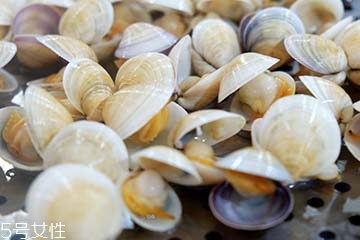 文蛤是淡水還是海水？文蛤是淡水水產(chǎn)嗎？