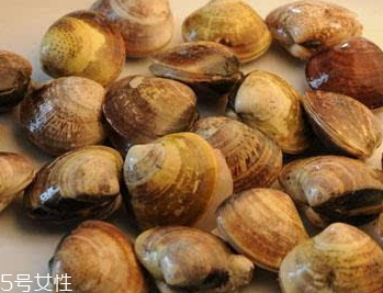 文蛤是冷水煮還是熱水？文蛤是用熱水嗎？