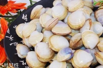 文蛤能放在冰箱里嗎?文蛤怎么保存？