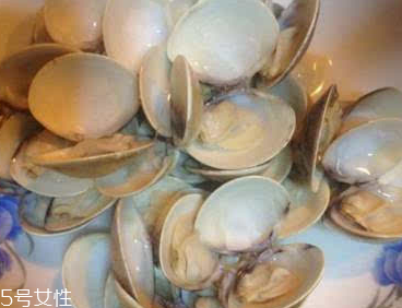 文蛤能給孕婦吃嗎？孕婦能不能吃文蛤？