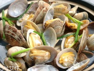 文蛤的養(yǎng)殖 文蛤怎么養(yǎng)？