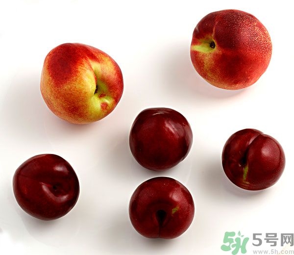 李子和灰子的區(qū)別？灰子的功效與作用
