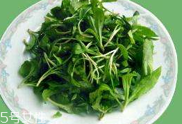 馬蘭頭對人的好處？馬蘭頭有什么好處？