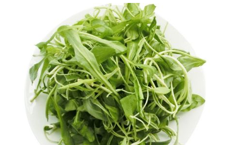 馬蘭頭是馬齒莧嗎？馬蘭頭和馬齒莧的區(qū)別