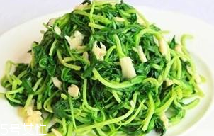 馬蘭頭能給孕婦吃嗎？孕婦能吃馬蘭頭嗎？