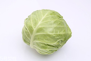 牛心菜是包菜嗎？牛心菜和包菜的區(qū)別