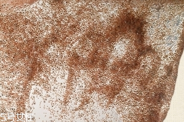 海藻面膜會發(fā)芽嗎？真的海藻面膜會發(fā)芽嗎？