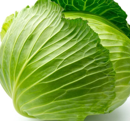 牛心菜能多吃嗎？牛心菜吃多了會(huì)怎樣？