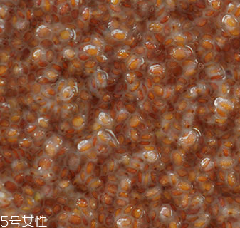 海藻面膜能加蜂蜜嗎？蜂蜜和海藻做面膜好嗎？