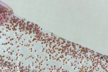 海藻面膜可以加維生素e嗎？海藻加維生素e可以用嗎？
