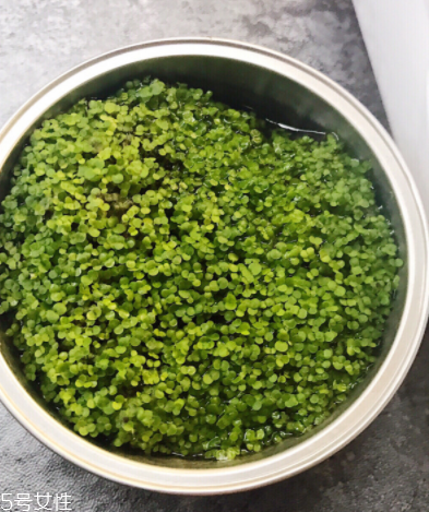 海藻面膜為什么會出膠？海藻面膜的膠是什么？