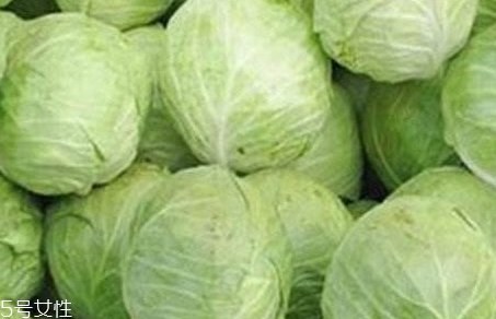牛心菜是寒性還是熱性？牛心菜是寒性的嗎？