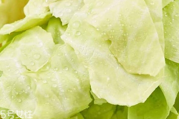 牛心菜是寒性還是熱性？牛心菜是寒性的嗎？