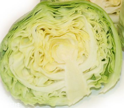 牛心菜是酸性還是堿性？牛心菜是酸性的嗎？