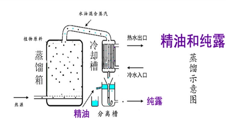 純露怎么濕敷效果好？純露濕敷的正確步驟
