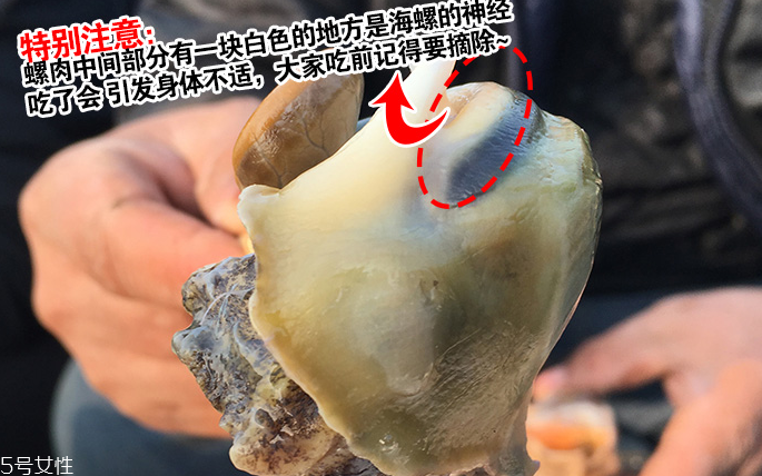 海螺會(huì)中毒嗎？吃海螺中毒多久會(huì)緩解？