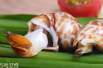 海螺能和西瓜一起吃嗎？海螺和西瓜能同食嗎？