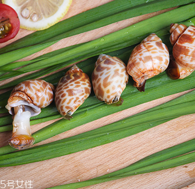 海螺能和西瓜一起吃嗎？海螺和西瓜能同食嗎？