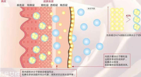 頑固痘痘怎么消除？油皮為什么反復(fù)爆痘？