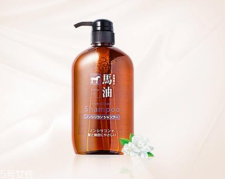馬油洗發(fā)水是哪里產(chǎn)的？馬油洗發(fā)水是哪國(guó)的？