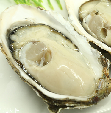 生蠔是蒸還是煮？生蠔蒸好吃還是煮好吃？