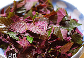 紫蘇葉能治皮膚過敏嗎？