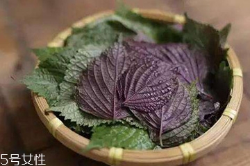 紫蘇葉吃了會(huì)上火嗎？紫蘇葉吃了不會(huì)上火