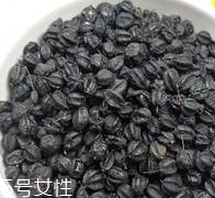 刺五加怎么吃？刺五加有什么用？