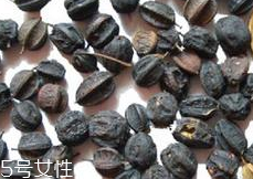刺五加怎么吃？刺五加有什么用？