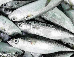 鲅魚(yú)和秋刀魚(yú)是一樣的嗎 主要區(qū)別在花紋和頭部
