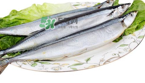 秋刀魚怎么處理？秋刀魚怎么挑選