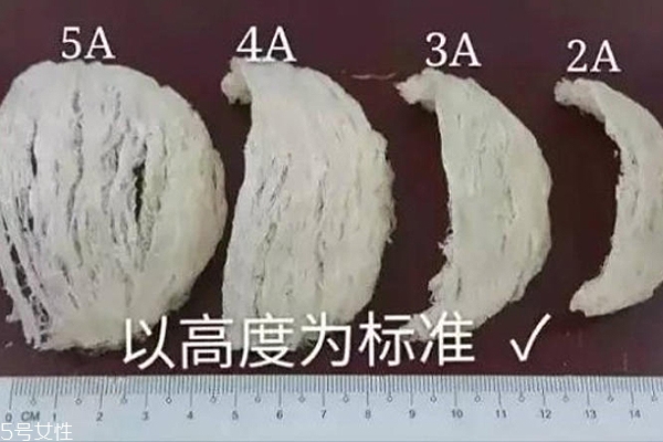 燕窩外形的圖片大全 燕角性?xún)r(jià)比最高