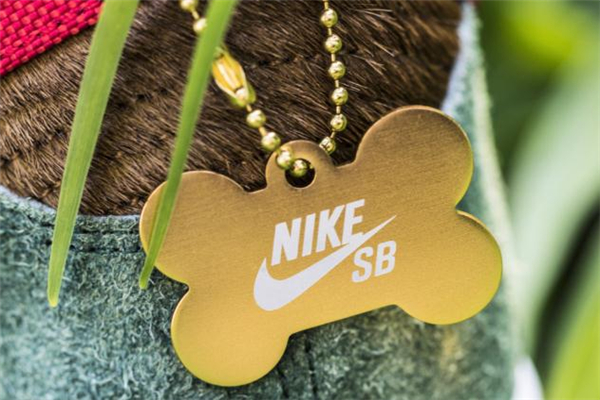 耐克dunk sb遛狗配色開箱測評(píng) 實(shí)物細(xì)節(jié)盡覽