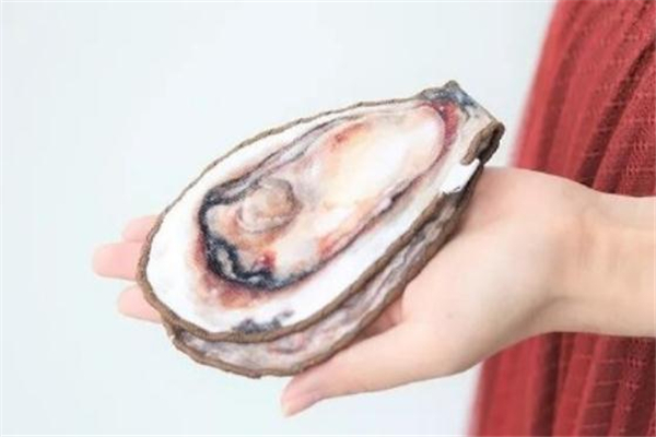 生蠔挎包是什么牌子 生蠔挎包在哪買(mǎi)