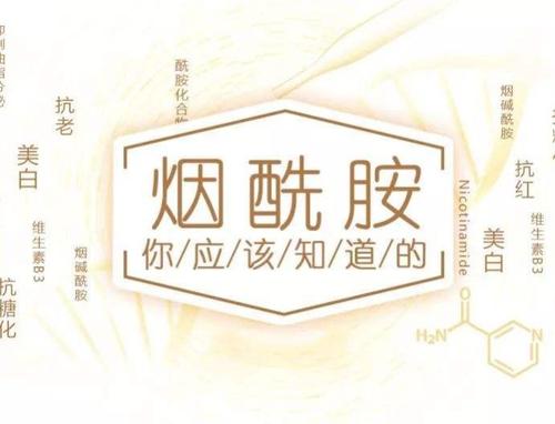 煙酰胺和維生素b3是什么關系 維生素b3有美白功效嗎