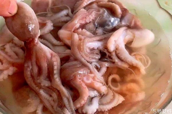 八爪魚(yú)煮多久會(huì)熟 八爪魚(yú)要煮多久