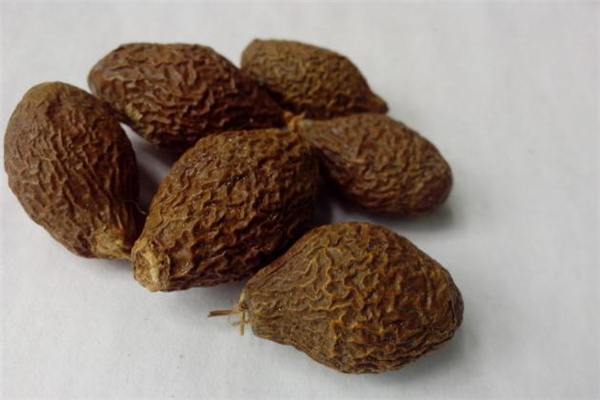 胖大?？梢灾温匝恃讍?胖大?？梢灾慰人詥?></p><h3>胖大海的功效與作用</h3><p>第一、改善咽部疾病</p><p>很多人出現(xiàn)咽喉腫痛是因為在咽喉部位有熱毒或者肺熱等等問題導(dǎo)致，在治療的時候要以清利咽喉和去熱毒為主，而胖大海本身屬于寒涼性的藥物，它可以幫助達(dá)到泄肺熱和清熱解毒效果，如果能夠搭配上其他的同類中藥服用，效果還會更理性一些，不僅如此，它還能夠幫助改善聲音嘶啞甚至是失音問題呢。</p><p>第二、改善肺熱、肺燥和咳嗽問題</p><p>如果風(fēng)熱侵蝕到人的肺部就會導(dǎo)致咳嗽等等問題出現(xiàn)，而且，這樣的情況下要么沒有痰，要么痰的顏色是非常黃而且很濃的，這個時候選擇服用胖大海的話則能夠幫助改善這種咳嗽癥狀，但是，直接用它泡水改善效果并不明顯，最好是搭配上魚腥草、蘆葦根或者是黃芩等等一起來服用。</p><p>第三、改善大便干燥問題</p><p>胖大海本身是寒涼性的藥物，在清腸通便方面有比較明顯的效果，所以，在臨床上可以用于改善因為大腸熱積導(dǎo)致的便秘或者排便不通暢問題，不過，它僅僅適合癥狀比較輕的情況，如果問題嚴(yán)重則需要搭配其他的藥物才行。</p> </div>
<div align=