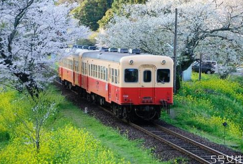 火車(chē)票候補(bǔ)能買(mǎi)到票嗎 火車(chē)票候補(bǔ)訂單成功率