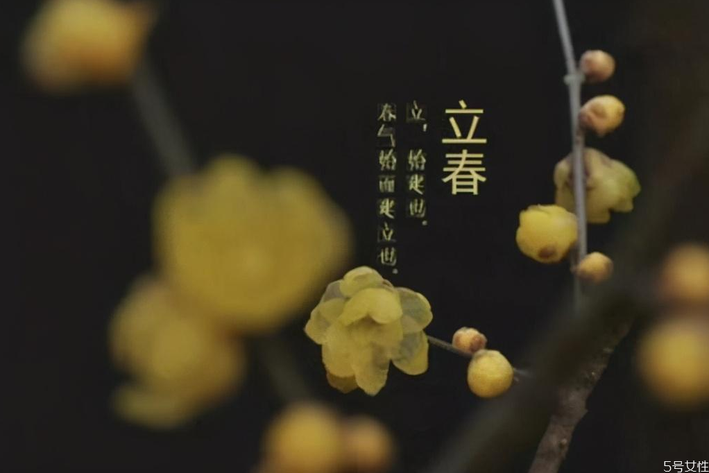 立春時間2021幾點(diǎn)幾分 2021年幾點(diǎn)打春幾點(diǎn)結(jié)束