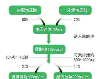 尿酸高可以吃瓜子嗎,有沒(méi)有影響的