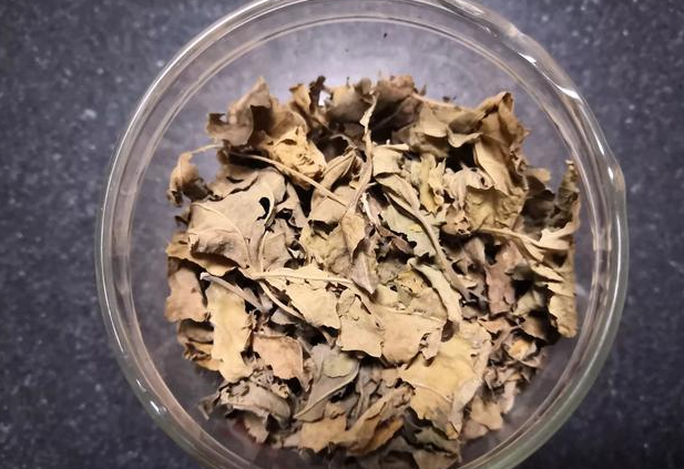 喝桑葉茶能減肥嗎?有什么副作用？