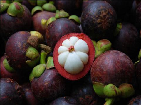 山竹的功效與作用 山竹的營(yíng)養(yǎng)成分