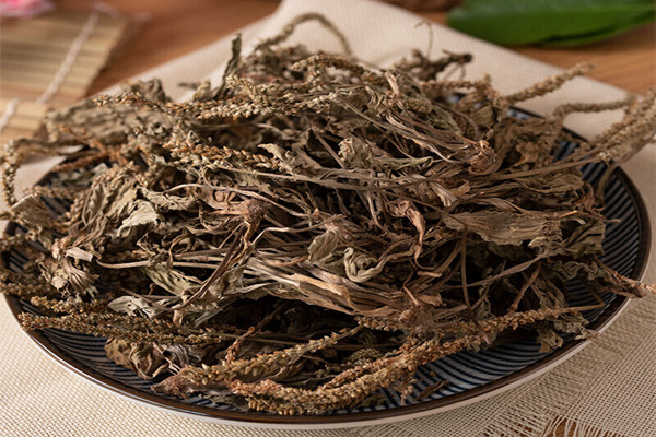 車前草能和枸杞子一起泡水喝嗎 車前草能和魚(yú)腥草一起煮水喝嗎