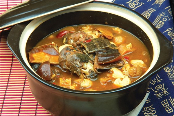 甲魚(yú)有膠原蛋白嗎 甲魚(yú)有什么營(yíng)養(yǎng)和功效