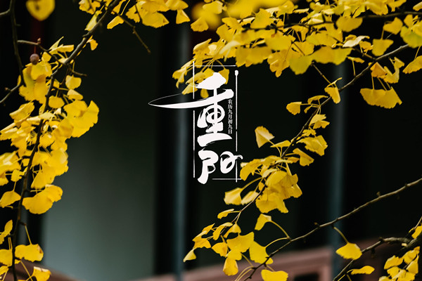 重陽(yáng)節(jié)要放假嗎 重陽(yáng)節(jié)怎么過