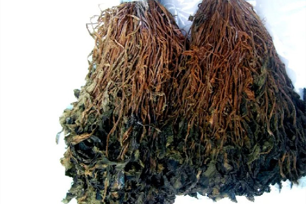 梅干菜有點(diǎn)發(fā)霉了還能吃嗎 梅干菜怎么保存時(shí)間長(zhǎng)