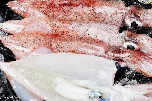 新鮮魷魚(yú)有點(diǎn)臭了還能吃嗎 新鮮魷魚(yú)有臭味正常嗎